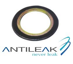 Spiral Wound Gasket with inner ring